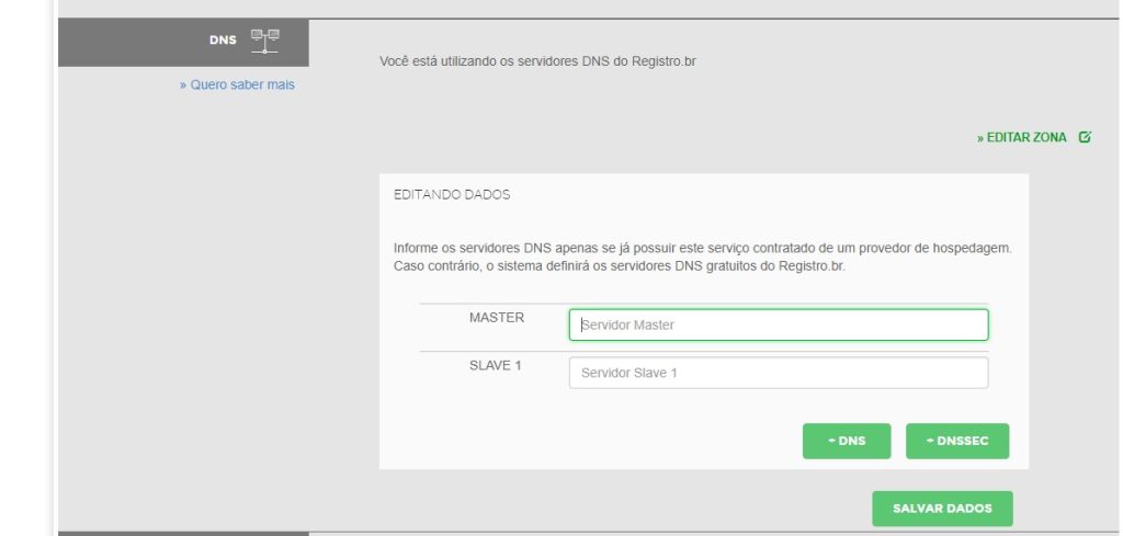informar ns do greengeeks no registro.br